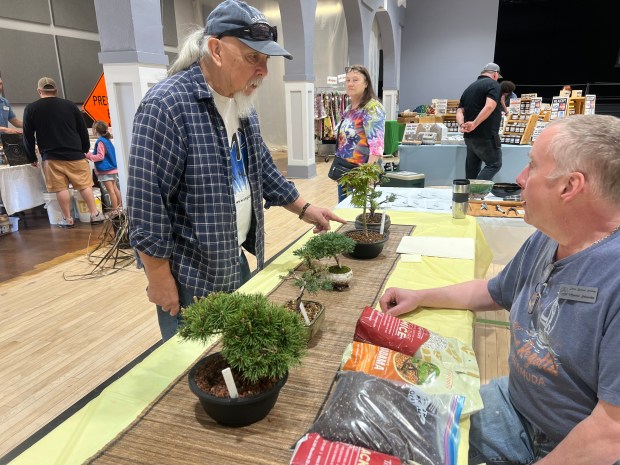 Greg O'Campo asks Martin Schwabe about a maple bonsai tree at the Arbor Day Festival in Oroville, California on Saturday March 16, 2024. (Molly Myers/Enterprise-Record)