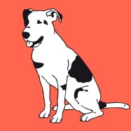 Researchers found evidence the animals did not merely recognize patterns of sound that come out of owners' mouths, they actually realized that certain words refer to specific objects.