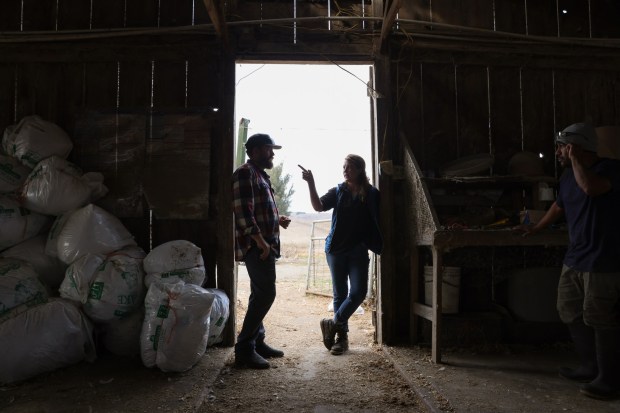Siblings Eric and Jennifer Reichardt talk with Javier Reyes at a Sonoma County poultry farm, near Two Rock, where Liberty Ducks are raised on Tuesday, September 20, 2022. (Christopher Chung/The Press Democrat)