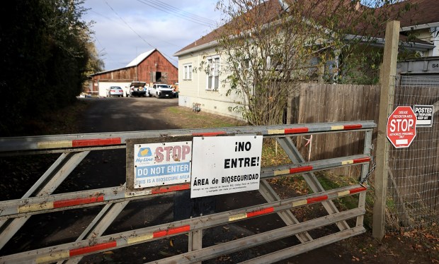 The entrance to Sunrise Farms in rural Petaluma, Friday, Dec. 1, 2023, where a virulent avian flu was detected, forcing euthanasia of the poultry stock. (Kent Porter / The Press Democrat)