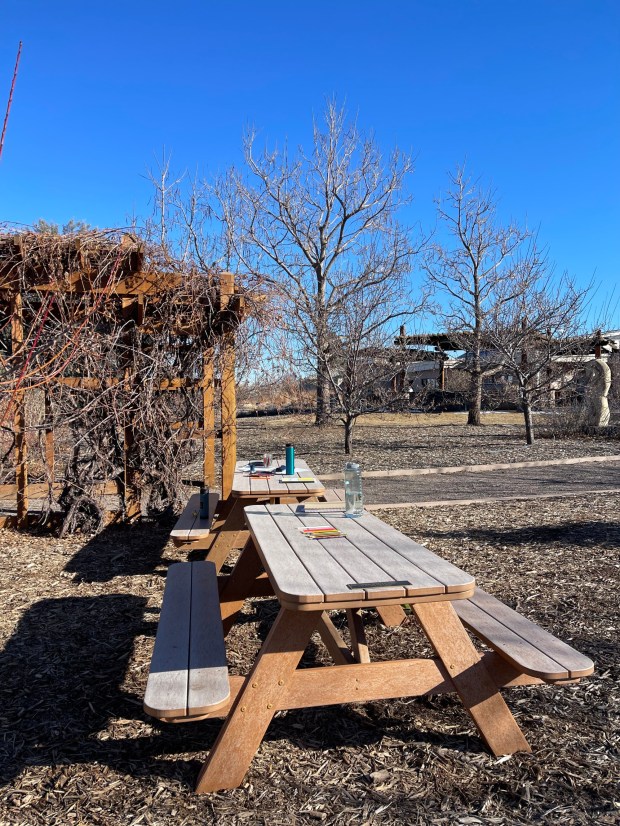 The beauty found in wintering gardens is hard to see when we are enmeshed in the hustle and noise of the world. It is only when slowing down that we can see and feel that though the world is brown, it is in rest, not dead. (Tamara Yakaboski, Special to The Denver Post)